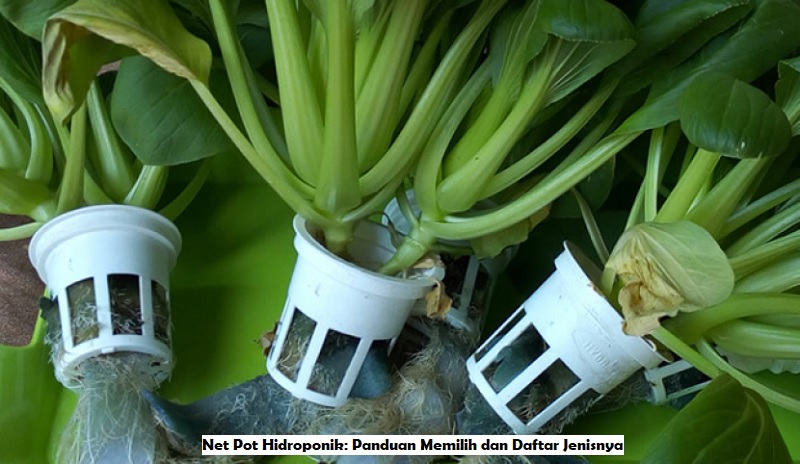 Net Pot Hidroponik