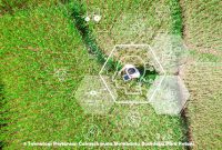 Teknologi Pertanian Canggih